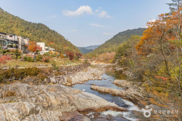 금강사(강릉) 여행 추천 - 메고지고