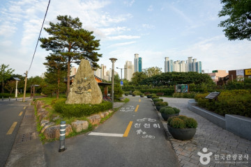 형산강 장미원 여행 추천 - 메고지고