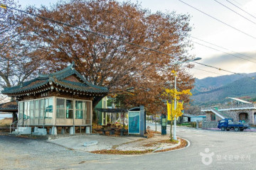 서어나무 숲 여행 추천 - 메고지고