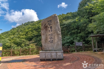 진부령미술관 여행 추천 - 메고지고
