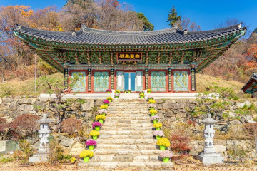 예천목재문화체험장 여행 추천 - 메고지고