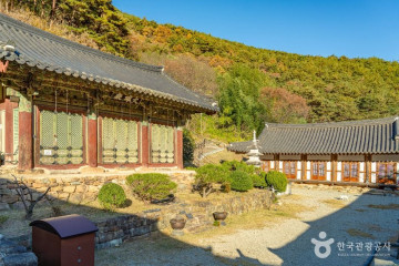 인문힐링센터 여명 여행 추천 - 메고지고
