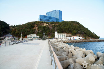 너울서프 여행 추천 - 메고지고