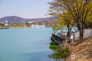 수성못상화동산 여행 추천 - 메고지고
