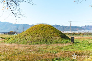 건천편백나무숲 여행 추천 - 메고지고