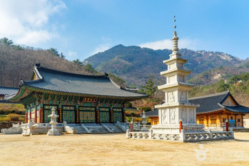 도락산 여행 추천 - 메고지고