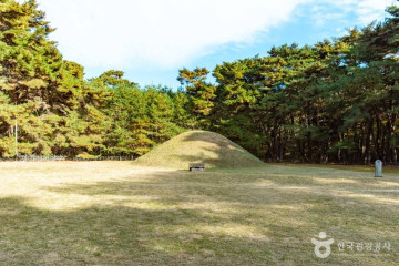 삼릉숲 여행 추천 - 메고지고