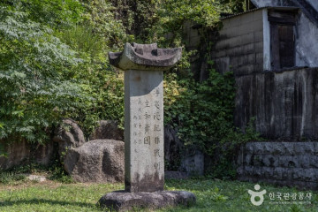 왕지벚꽃길 여행 추천 - 메고지고