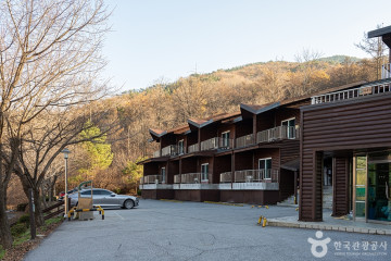 유명산258오토캠핑장 여행 추천 - 메고지고