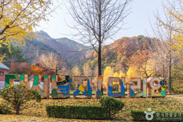 천동관광지 여행 추천 - 메고지고