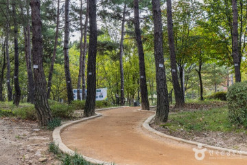 다락원체육공원 여행 추천 - 메고지고