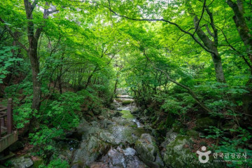초암사(영주) 여행 추천 - 메고지고
