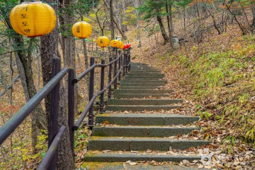 월정사·월정사 전나무숲 여행 추천 - 메고지고