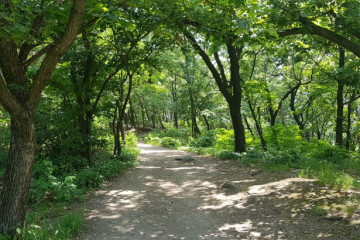 금천 폭포공원 여행 추천 - 메고지고