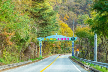 비밀의정원 여행 추천 - 메고지고