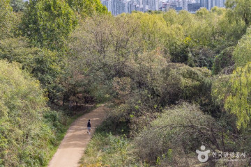 서울가족플라자 여행 추천 - 메고지고