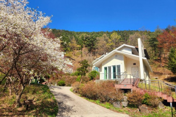 속리산 숲체험휴양마을 여행 추천 - 메고지고