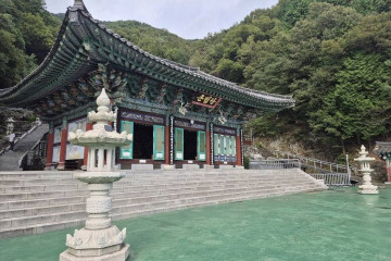 창원 편백 치유의 숲 여행 추천 - 메고지고