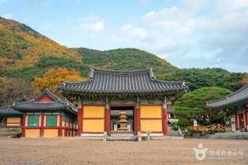 보경사힐링캠핑장 여행 추천 - 메고지고