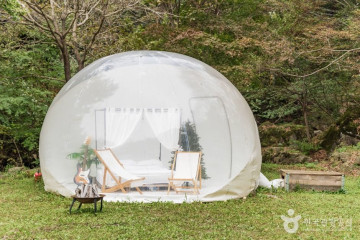 옥정호 작약 꽃밭 여행 추천 - 메고지고