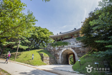 침괘정 여행 추천 - 메고지고