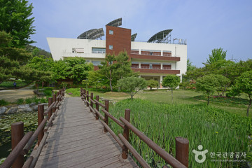 추동인공생태습지 여행 추천 - 메고지고