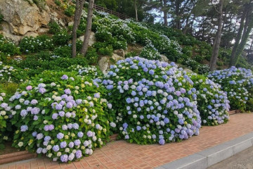 저구항 여행 추천 - 메고지고