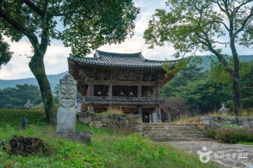 의성 월소리 소나무 여행 추천 - 메고지고