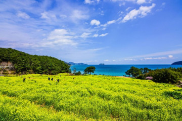 학동 흑진주 몽돌해변 여행 추천 - 메고지고
