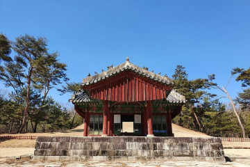 공릉관광지캠핑장 여행 추천 - 메고지고