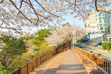 미포정거장 여행 추천 - 메고지고