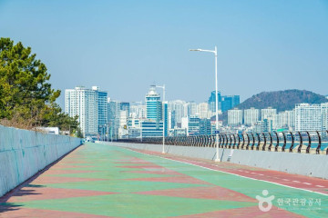 부산광안대교 여행 추천 - 메고지고