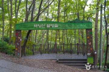 약수암(부산) 여행 추천 - 메고지고