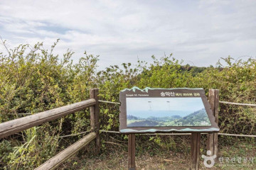 송악산 여행 추천 - 메고지고