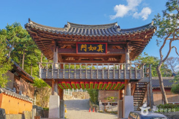 국립서울현충원 여행 추천 - 메고지고