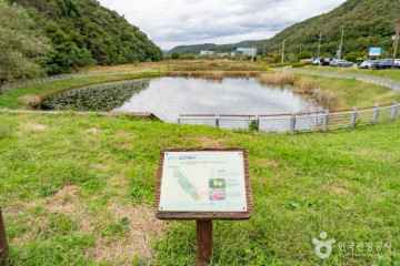 와우정사(용인) 여행 추천 - 메고지고