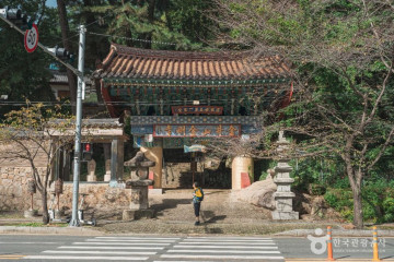 금강식물원 여행 추천 - 메고지고
