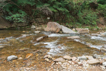 배꼽다리 여행 추천 - 메고지고