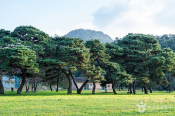 순창군 채계산 출렁다리 여행 추천 - 메고지고