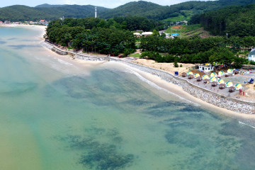천리포항 여행 추천 - 메고지고
