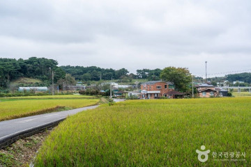 망일사(서산) 여행 추천 - 메고지고