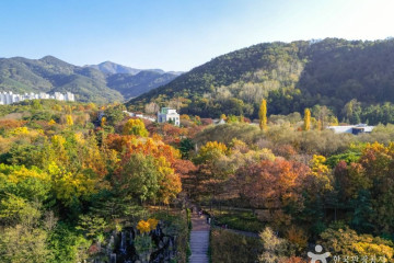 두류수영장 여행 추천 - 메고지고