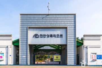 천안상록리조트 아쿠아피아 여행 추천 - 메고지고