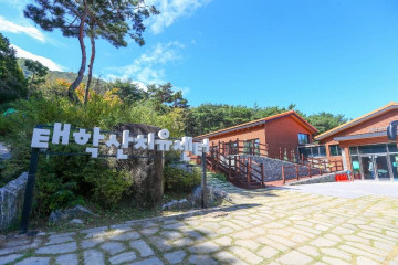 태학산자연휴양림 오토캠핑장 여행 추천 - 메고지고