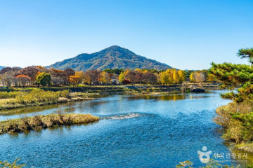 영동 덕수이씨 육세팔효정문 여행 추천 - 메고지고