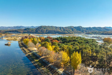 영동 덕수이씨 육세팔효정문 여행 추천 - 메고지고