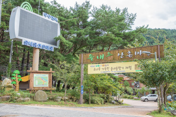 원통사지 여행 추천 - 메고지고
