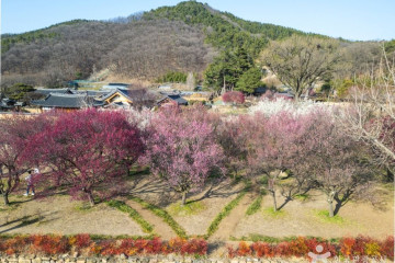 수봉정사 여행 추천 - 메고지고