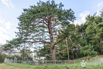 악휘봉 여행 추천 - 메고지고
