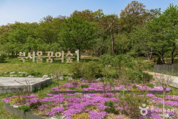 광운대학교 아이스링크 여행 추천 - 메고지고